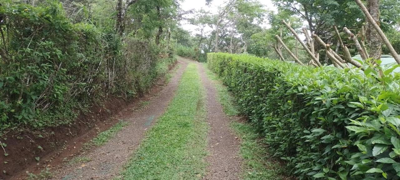 Pochote Lodge Guayabo  Экстерьер фото