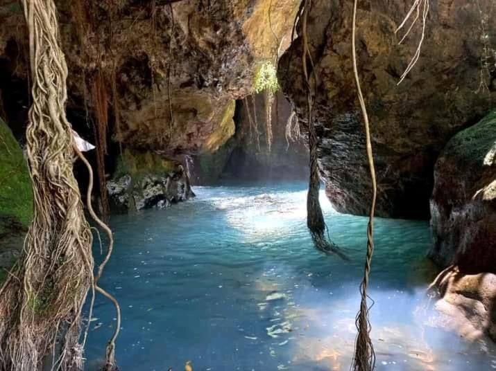 Pochote Lodge Guayabo  Экстерьер фото