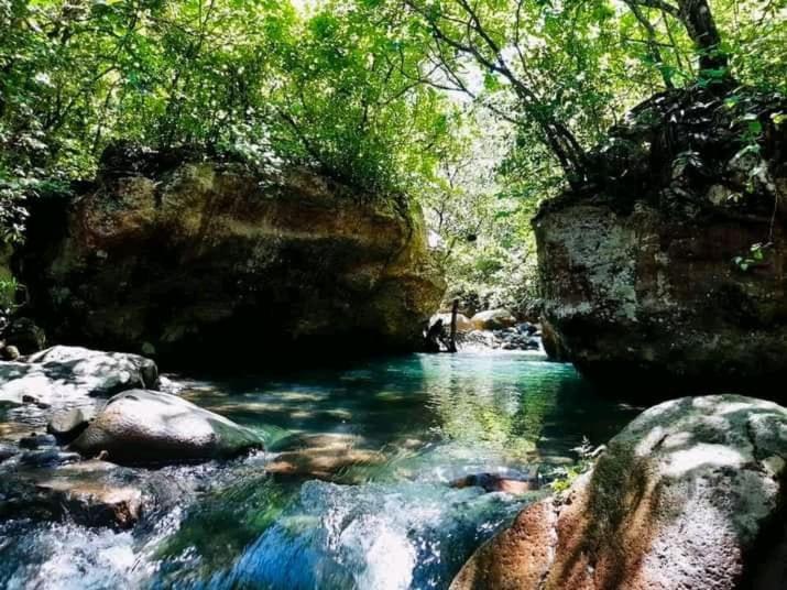 Pochote Lodge Guayabo  Экстерьер фото