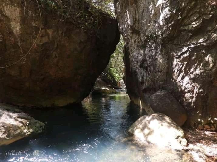 Pochote Lodge Guayabo  Экстерьер фото