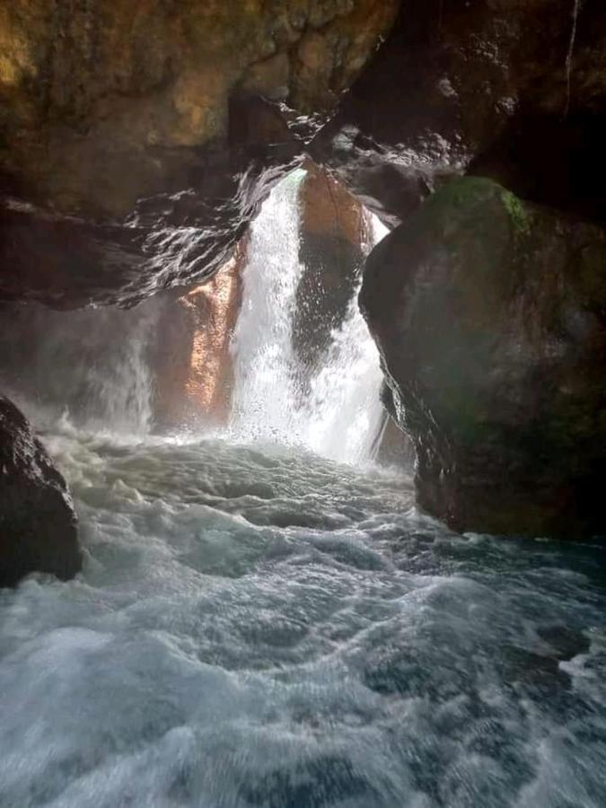 Pochote Lodge Guayabo  Экстерьер фото