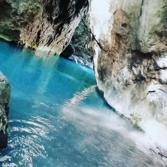 Pochote Lodge Guayabo  Экстерьер фото