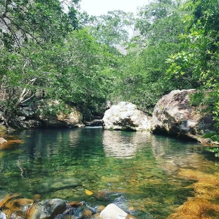 Pochote Lodge Guayabo  Экстерьер фото