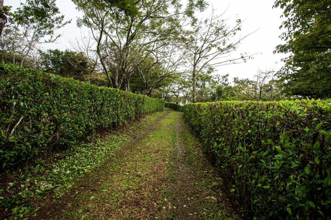 Pochote Lodge Guayabo  Экстерьер фото